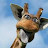 Amy Meyer avatar