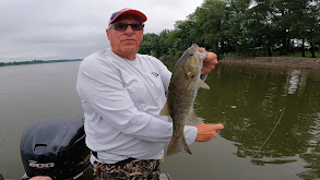 Stripers and Smallies Below Pickwick Dam thumbnail