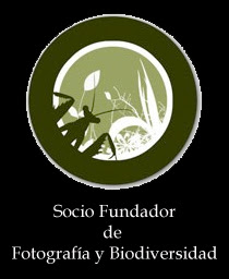 fotobio