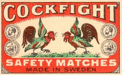 safetymatch067