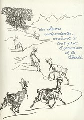 chevre de m seguin p7