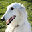 Roz Wenrich avatar