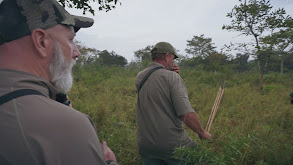 Uganda, A Safari Paradise thumbnail